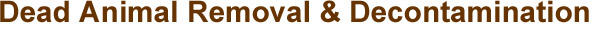 - Dead Animal Removal & Decontamination 