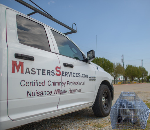 click here for complete animal info