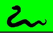 Snake Info