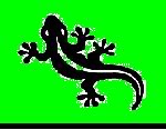 Gecko Info
